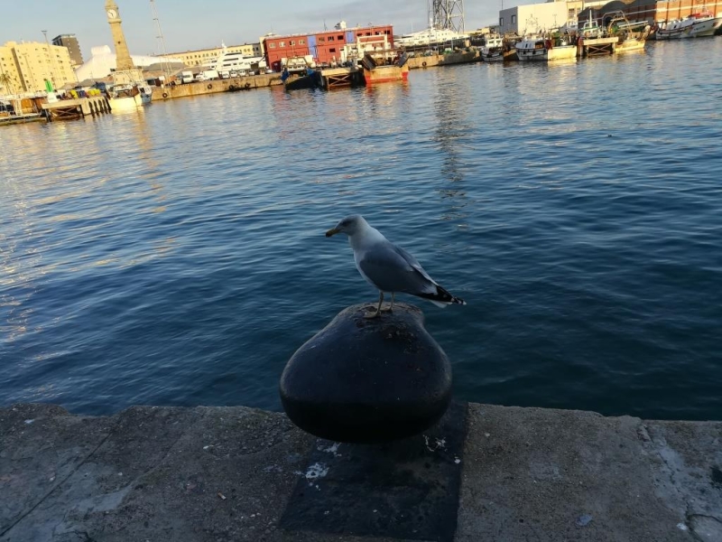 Мой первый морской круиз. Барселона.